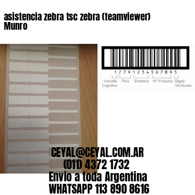 asistencia zebra tsc zebra (teamviewer)  Munro