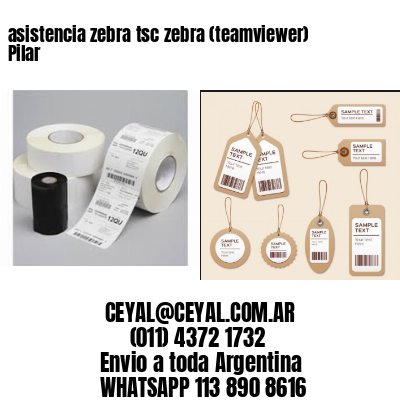 asistencia zebra tsc zebra (teamviewer)  Pilar