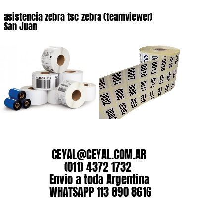 asistencia zebra tsc zebra (teamviewer)  San Juan