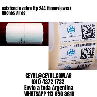 asistencia zebra ttp 244 (teamviewer)  Buenos Aires