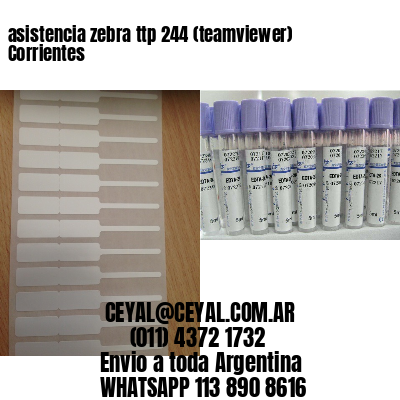 asistencia zebra ttp 244 (teamviewer)  Corrientes