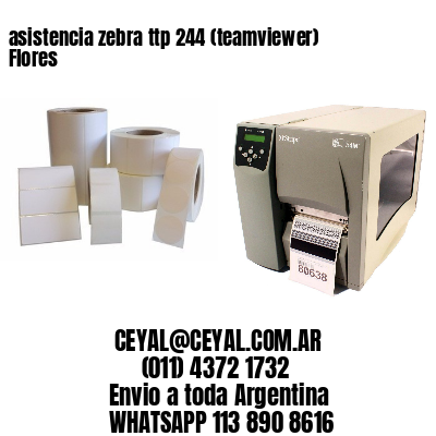 asistencia zebra ttp 244 (teamviewer)  Flores