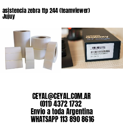 asistencia zebra ttp 244 (teamviewer)  Jujuy