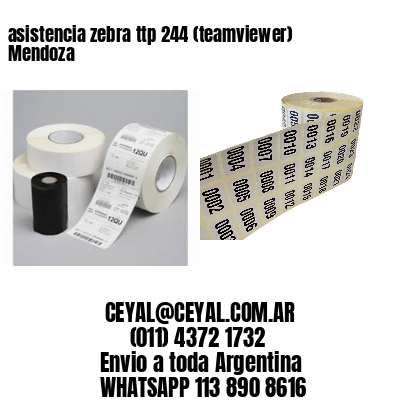 asistencia zebra ttp 244 (teamviewer)  Mendoza