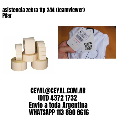 asistencia zebra ttp 244 (teamviewer)  Pilar