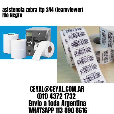 asistencia zebra ttp 244 (teamviewer)  Rio Negro