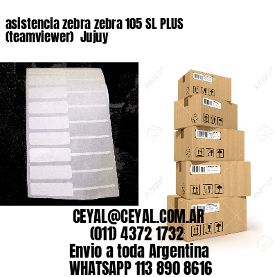 asistencia zebra zebra 105 SL PLUS (teamviewer)  Jujuy