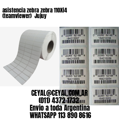 asistencia zebra zebra 110Xi4 (teamviewer)  Jujuy