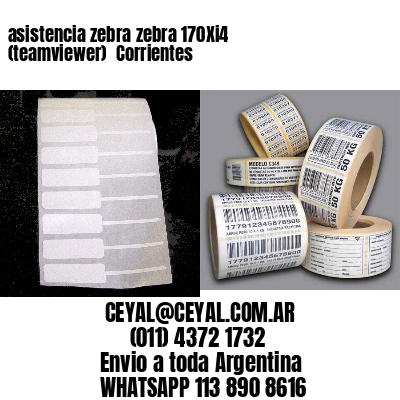 asistencia zebra zebra 170Xi4 (teamviewer)  Corrientes