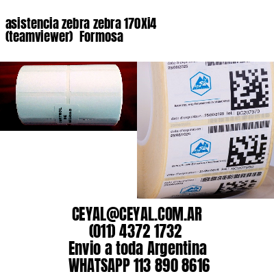 asistencia zebra zebra 170Xi4 (teamviewer)  Formosa