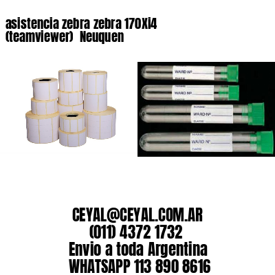 asistencia zebra zebra 170Xi4 (teamviewer)  Neuquen