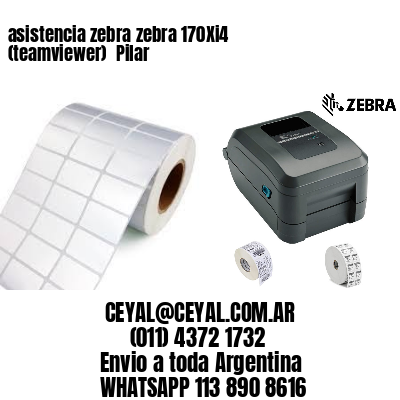 asistencia zebra zebra 170Xi4 (teamviewer)  Pilar
