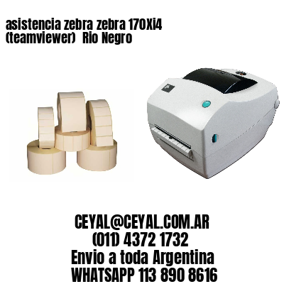 asistencia zebra zebra 170Xi4 (teamviewer)  Rio Negro