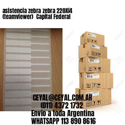 asistencia zebra zebra 220Xi4 (teamviewer)  Capital Federal