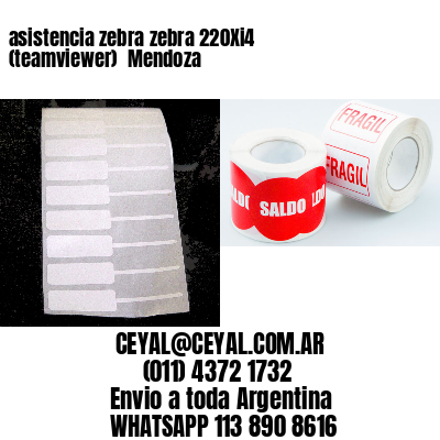 asistencia zebra zebra 220Xi4 (teamviewer)  Mendoza