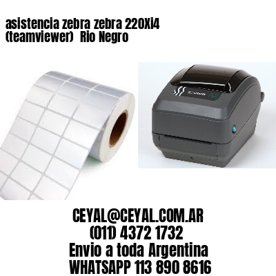 asistencia zebra zebra 220Xi4 (teamviewer)  Rio Negro