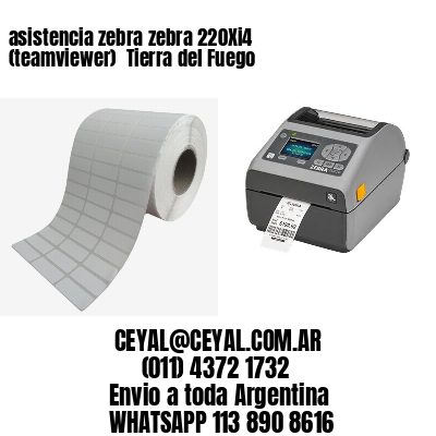 asistencia zebra zebra 220Xi4 (teamviewer)  Tierra del Fuego