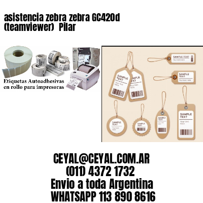 asistencia zebra zebra GC420d (teamviewer)  Pilar