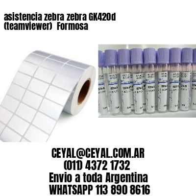 asistencia zebra zebra GK420d (teamviewer)  Formosa