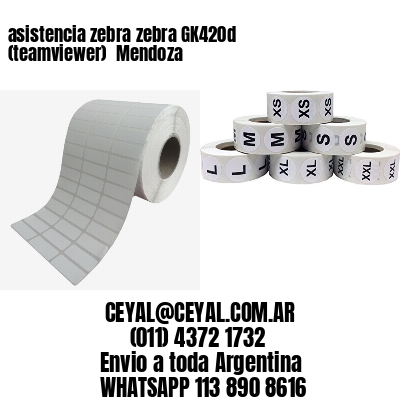 asistencia zebra zebra GK420d (teamviewer)  Mendoza