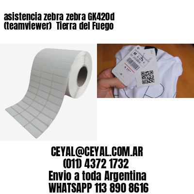 asistencia zebra zebra GK420d (teamviewer)  Tierra del Fuego