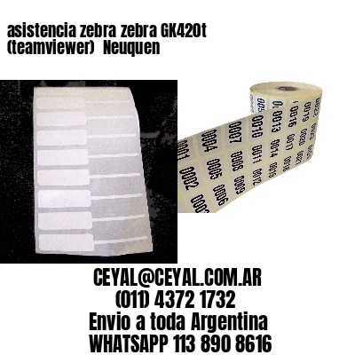 asistencia zebra zebra GK420t (teamviewer)  Neuquen