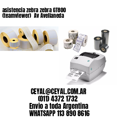 asistencia zebra zebra GT800 (teamviewer)  Av Avellaneda