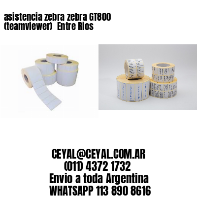 asistencia zebra zebra GT800 (teamviewer)  Entre Rios