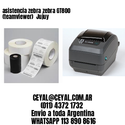 asistencia zebra zebra GT800 (teamviewer)  Jujuy
