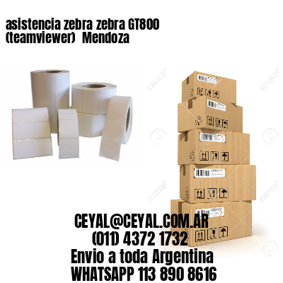 asistencia zebra zebra GT800 (teamviewer)  Mendoza