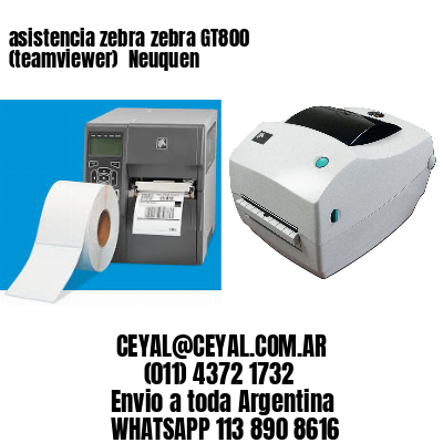 asistencia zebra zebra GT800 (teamviewer)  Neuquen