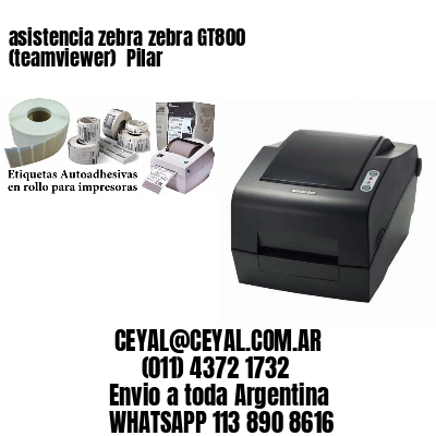 asistencia zebra zebra GT800 (teamviewer)  Pilar