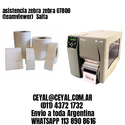 asistencia zebra zebra GT800 (teamviewer)  Salta