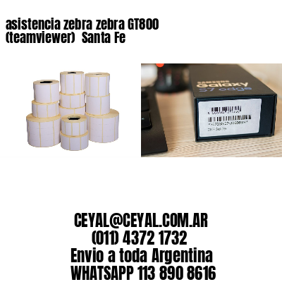 asistencia zebra zebra GT800 (teamviewer)  Santa Fe