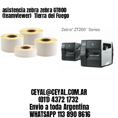 asistencia zebra zebra GT800 (teamviewer)  Tierra del Fuego