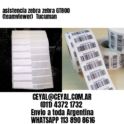 asistencia zebra zebra GT800 (teamviewer)  Tucuman
