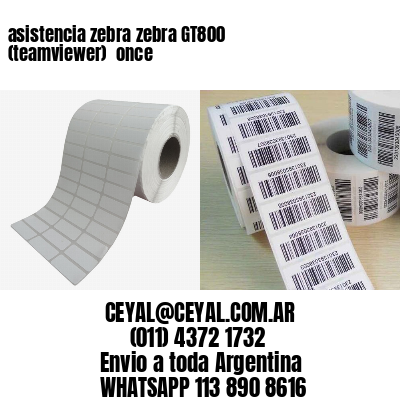 asistencia zebra zebra GT800 (teamviewer)  once