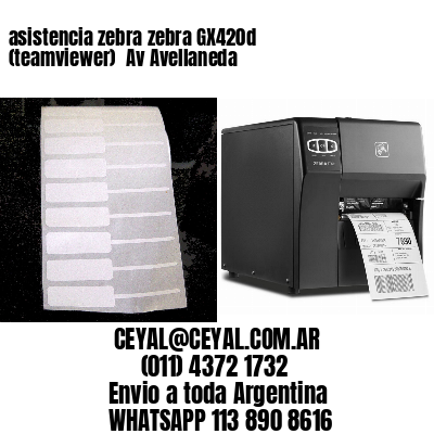 asistencia zebra zebra GX420d (teamviewer)  Av Avellaneda