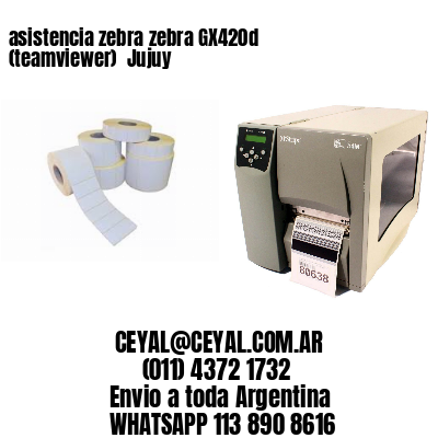 asistencia zebra zebra GX420d (teamviewer)  Jujuy