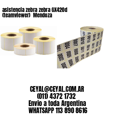 asistencia zebra zebra GX420d (teamviewer)  Mendoza