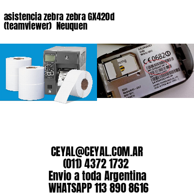 asistencia zebra zebra GX420d (teamviewer)  Neuquen