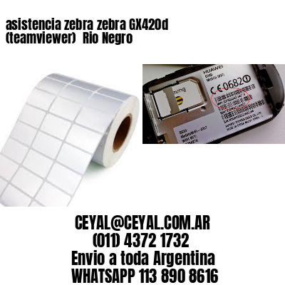 asistencia zebra zebra GX420d (teamviewer)  Rio Negro