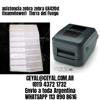 asistencia zebra zebra GX420d (teamviewer)  Tierra del Fuego