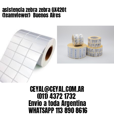 asistencia zebra zebra GX420t (teamviewer)  Buenos Aires