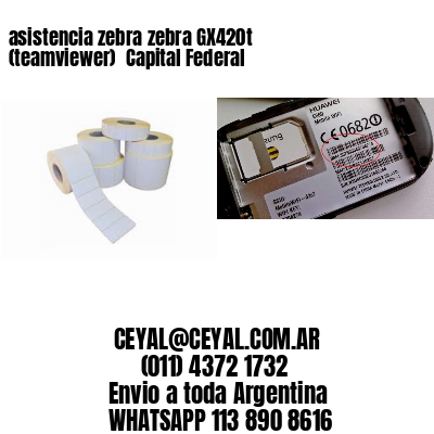 asistencia zebra zebra GX420t (teamviewer)  Capital Federal