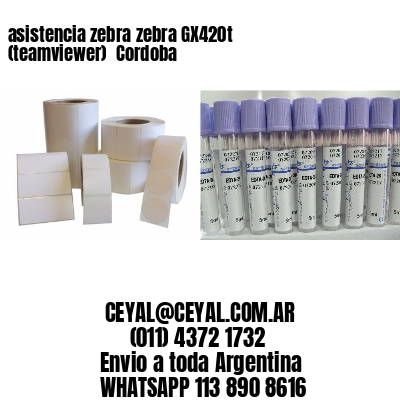 asistencia zebra zebra GX420t (teamviewer)  Cordoba