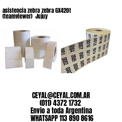 asistencia zebra zebra GX420t (teamviewer)  Jujuy