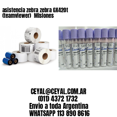 asistencia zebra zebra GX420t (teamviewer)  Misiones