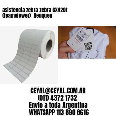 asistencia zebra zebra GX420t (teamviewer)  Neuquen