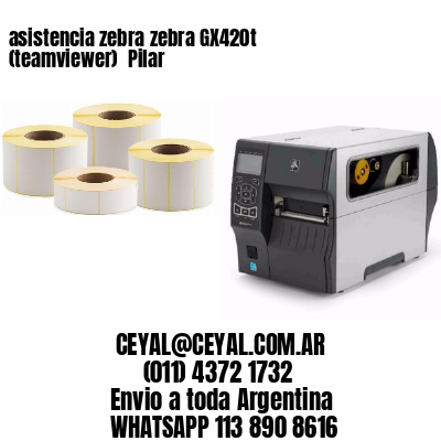 asistencia zebra zebra GX420t (teamviewer)  Pilar